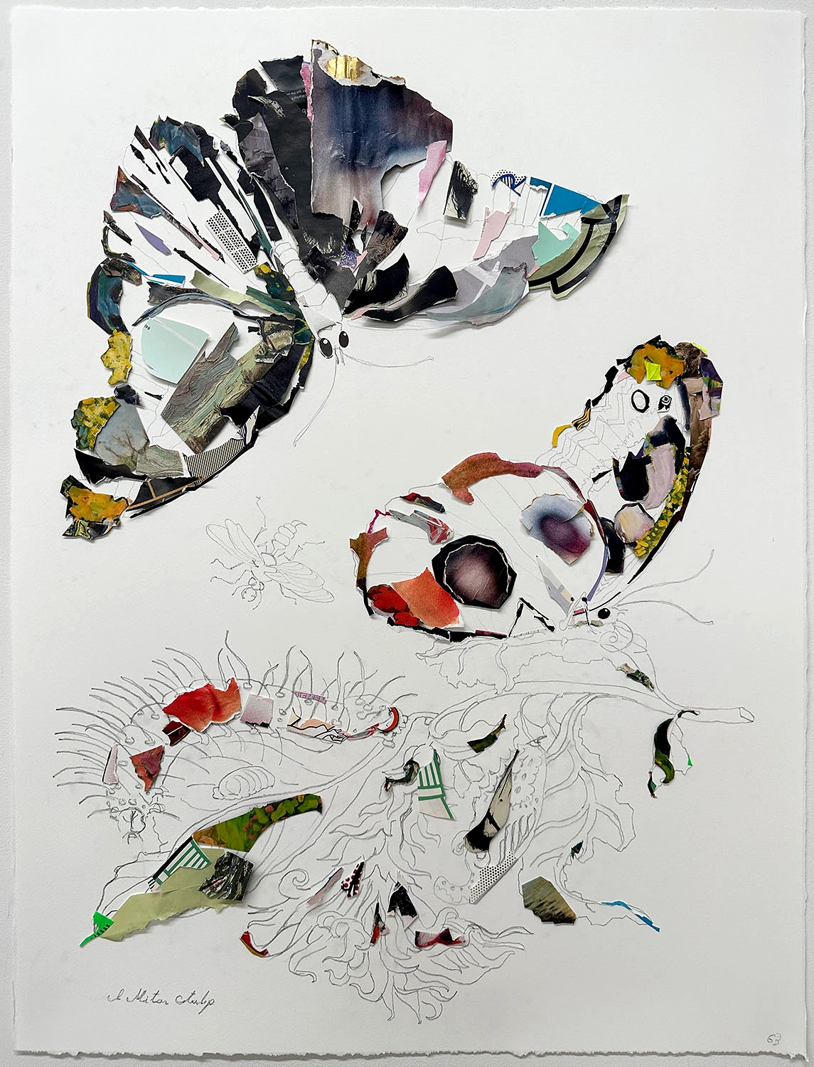 Botanical No. 4-1